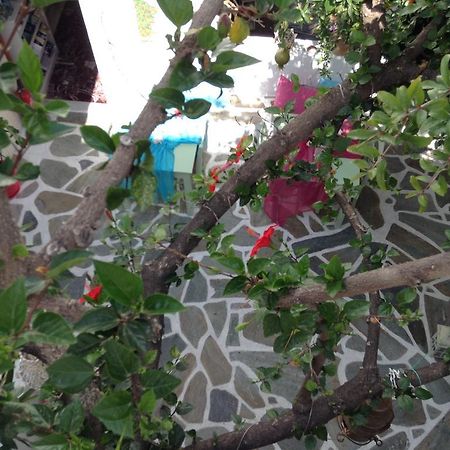 פארוס Arian Hotel מראה חיצוני תמונה
