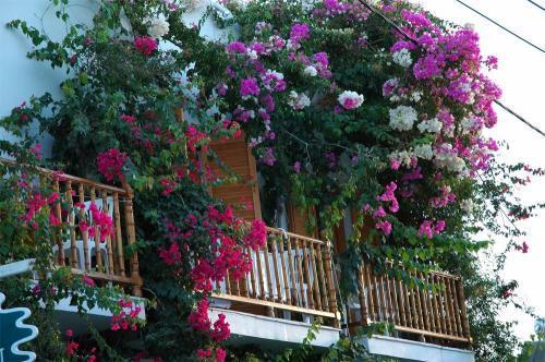 פארוס Arian Hotel מראה חיצוני תמונה