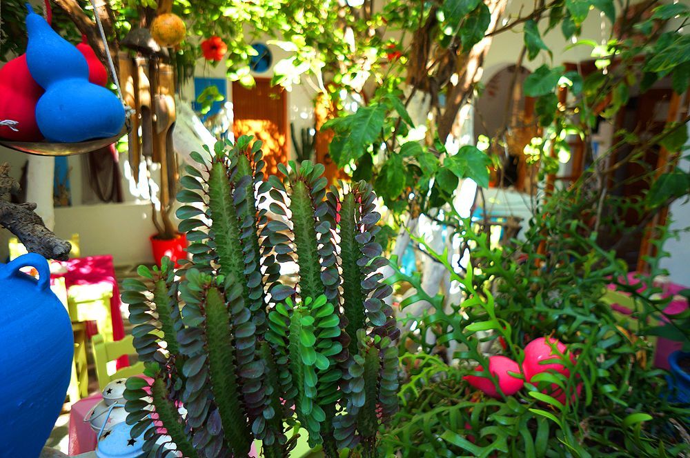 פארוס Arian Hotel מראה חיצוני תמונה